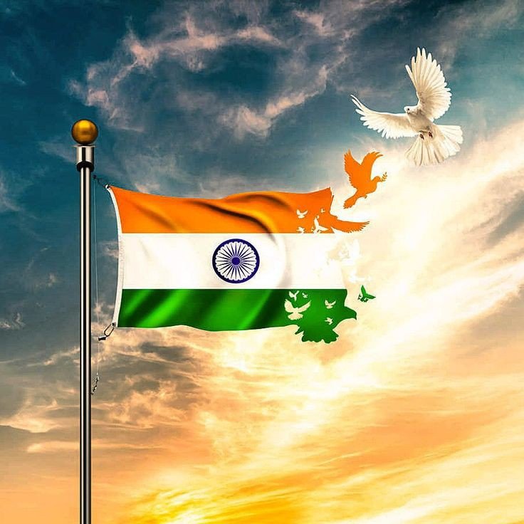 tiranga dp download