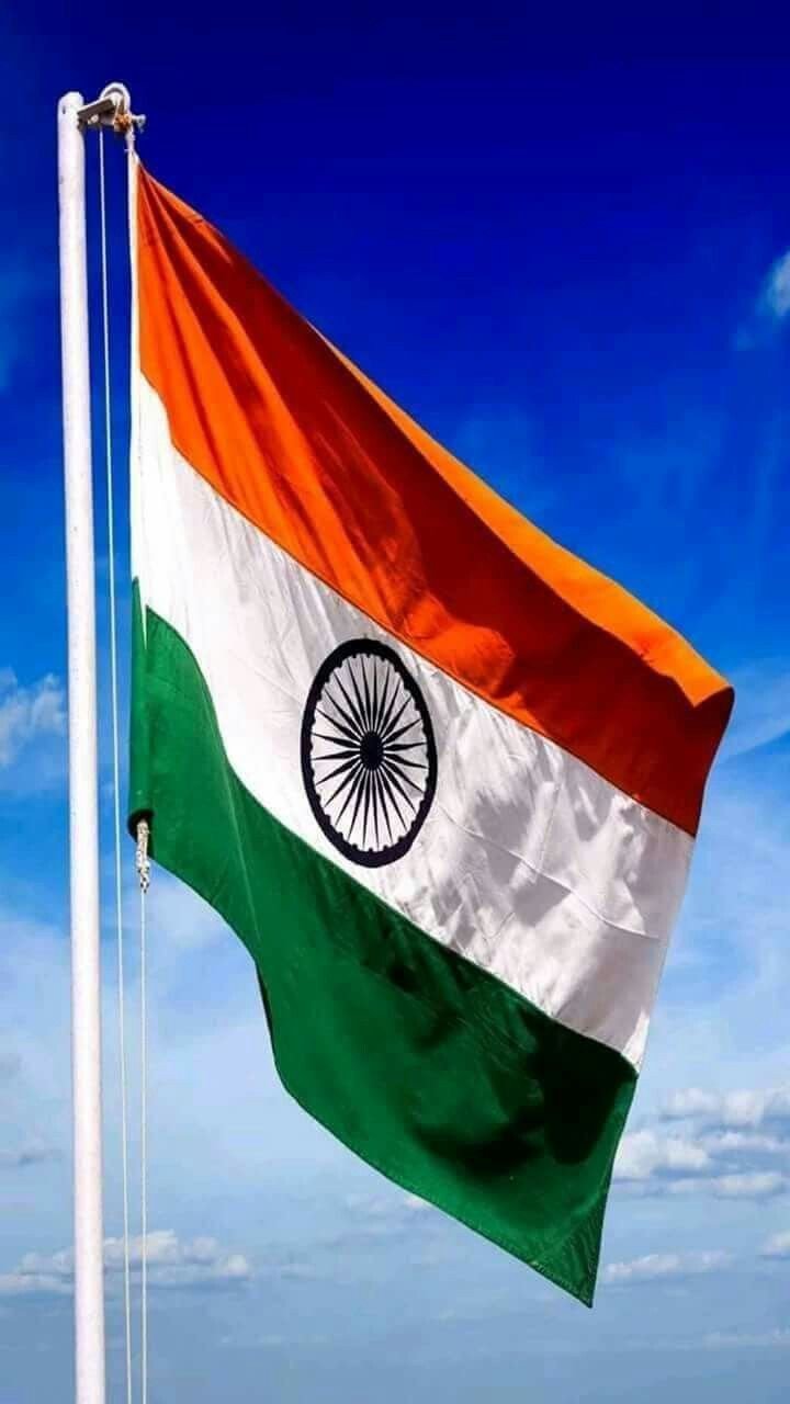 tiranga dp for whatsapp
