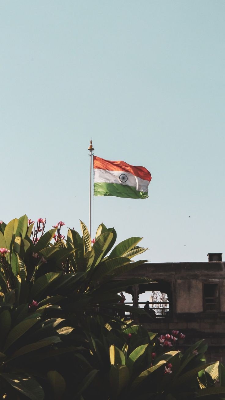 tiranga dp name