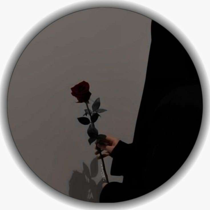 whatsapp dp new girl
